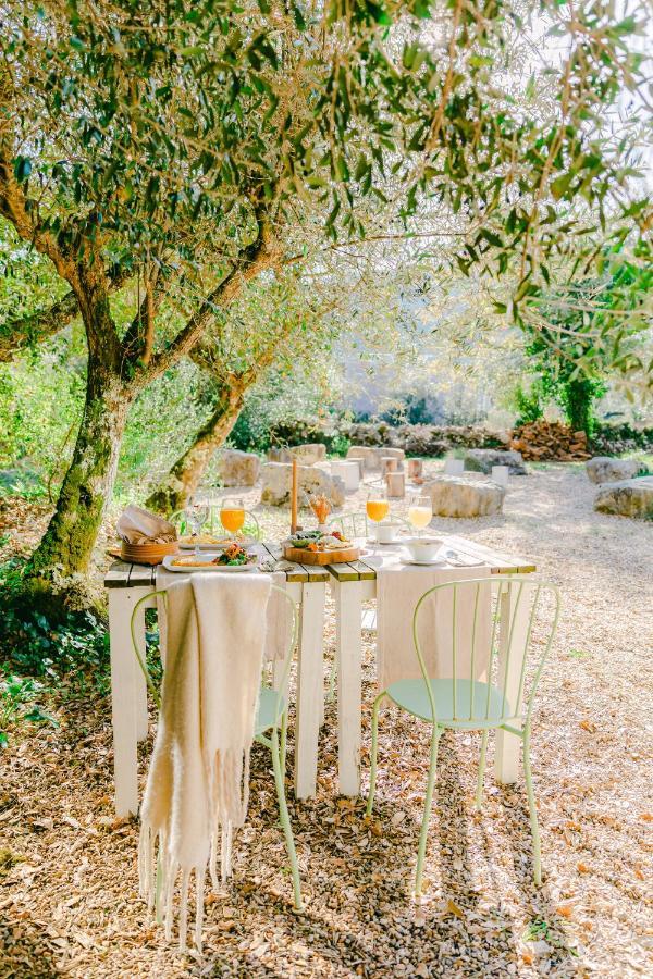 Cooking And Nature - Emotional Hotel Alvados Exterior foto